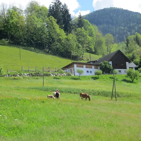 Maison d'hôtes Turnerhof Millstatt