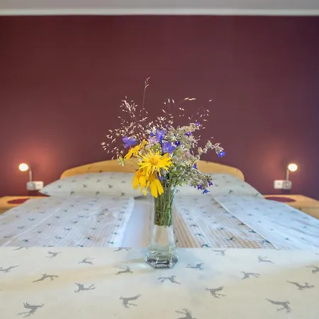 ゲストハウス Turnerhof 3*