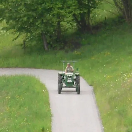 ゲストハウス Turnerhof 3*