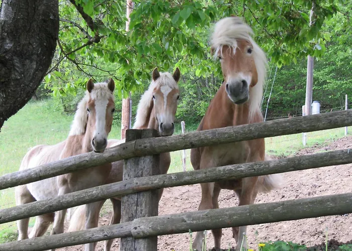 Guest house Turnerhof Millstatt