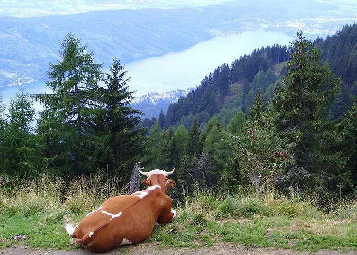 Guest house Turnerhof 3*